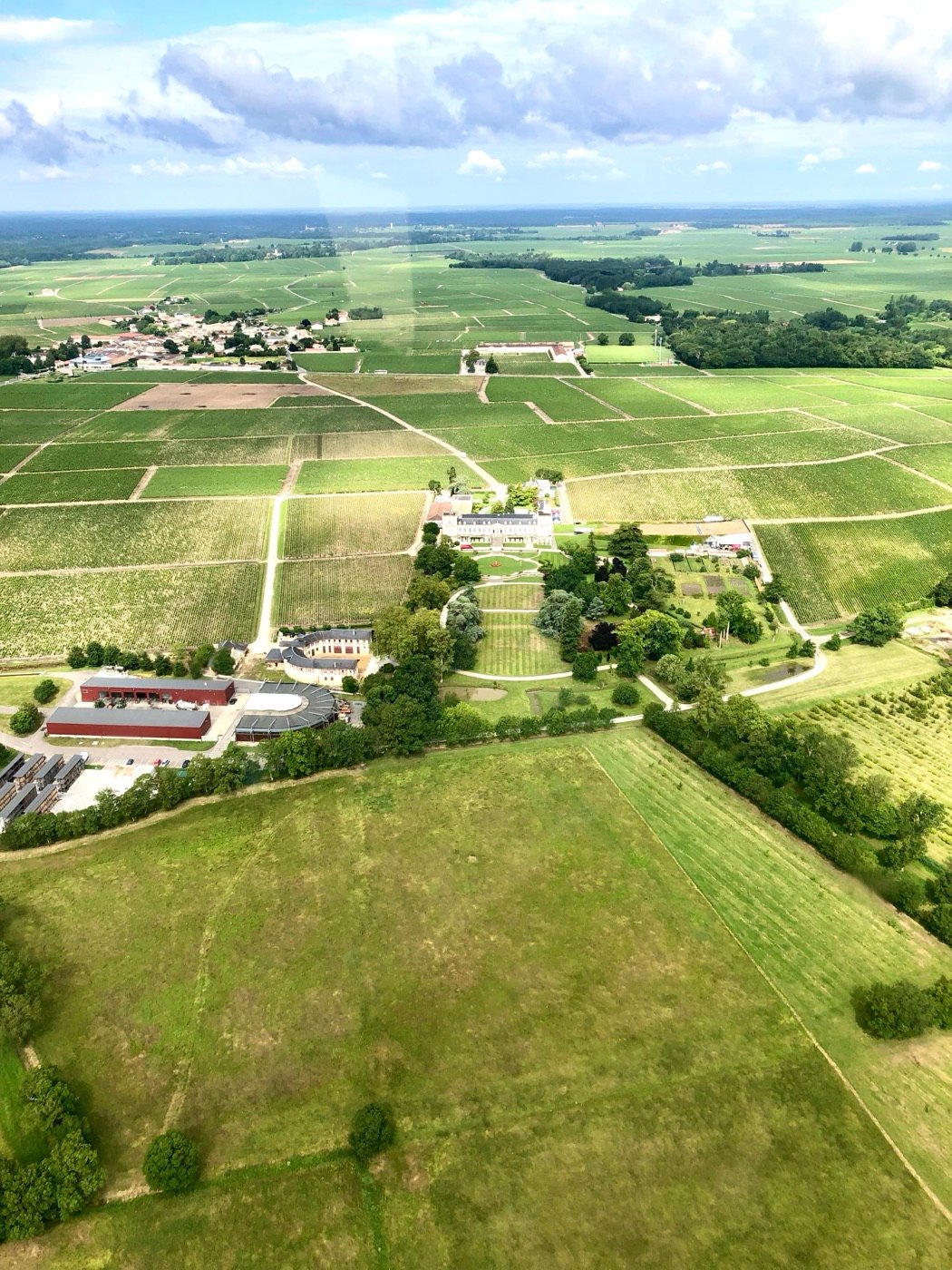 Vineyards seen from the helicopter