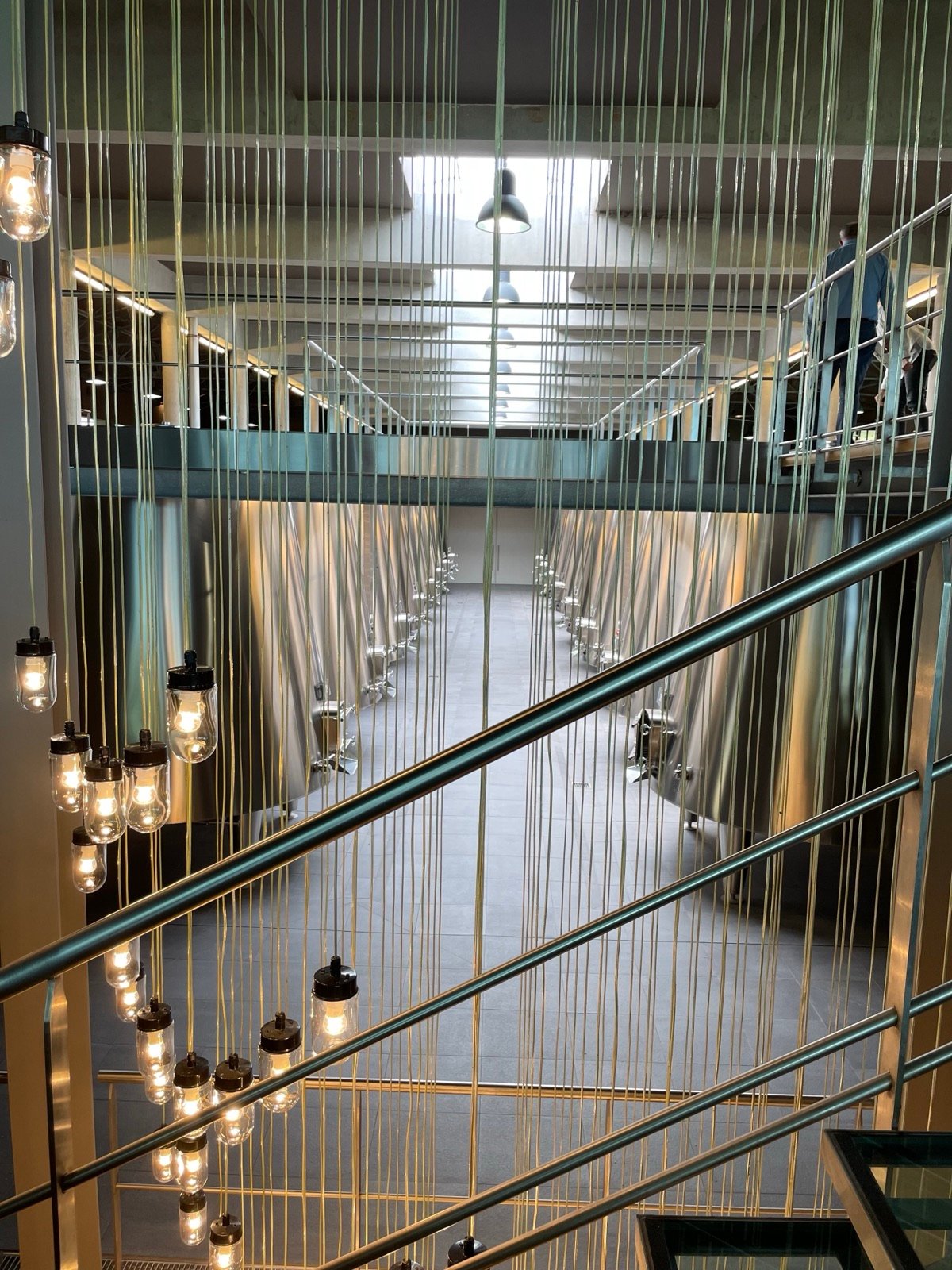 A modern barrel cellar in the Médoc