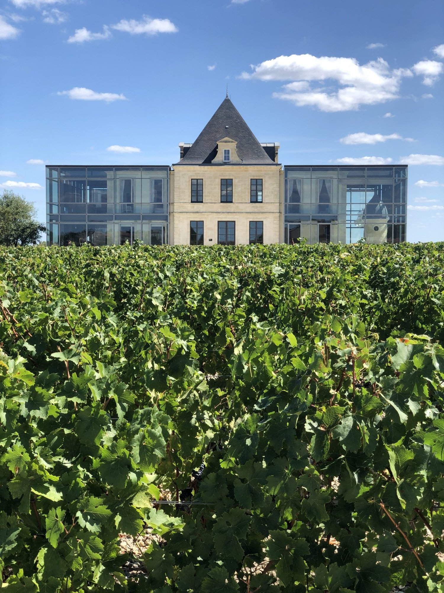 A Médoc château, its glass wings and its vineyard under a blue sky