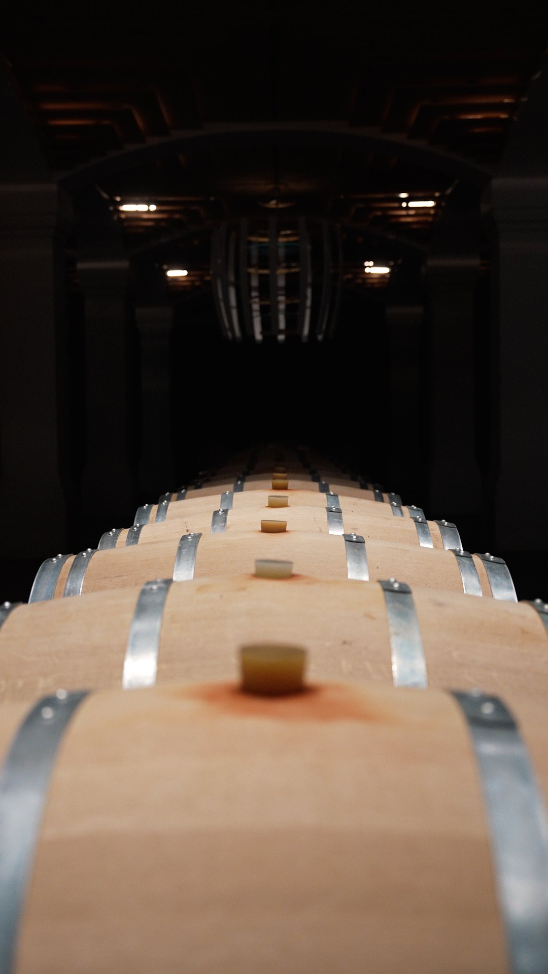 Oak barrels in the half-light of the cellar