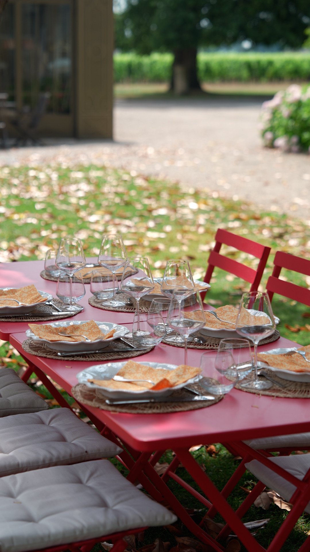A table set in the garden of a château, with glasses and plates, among the vines