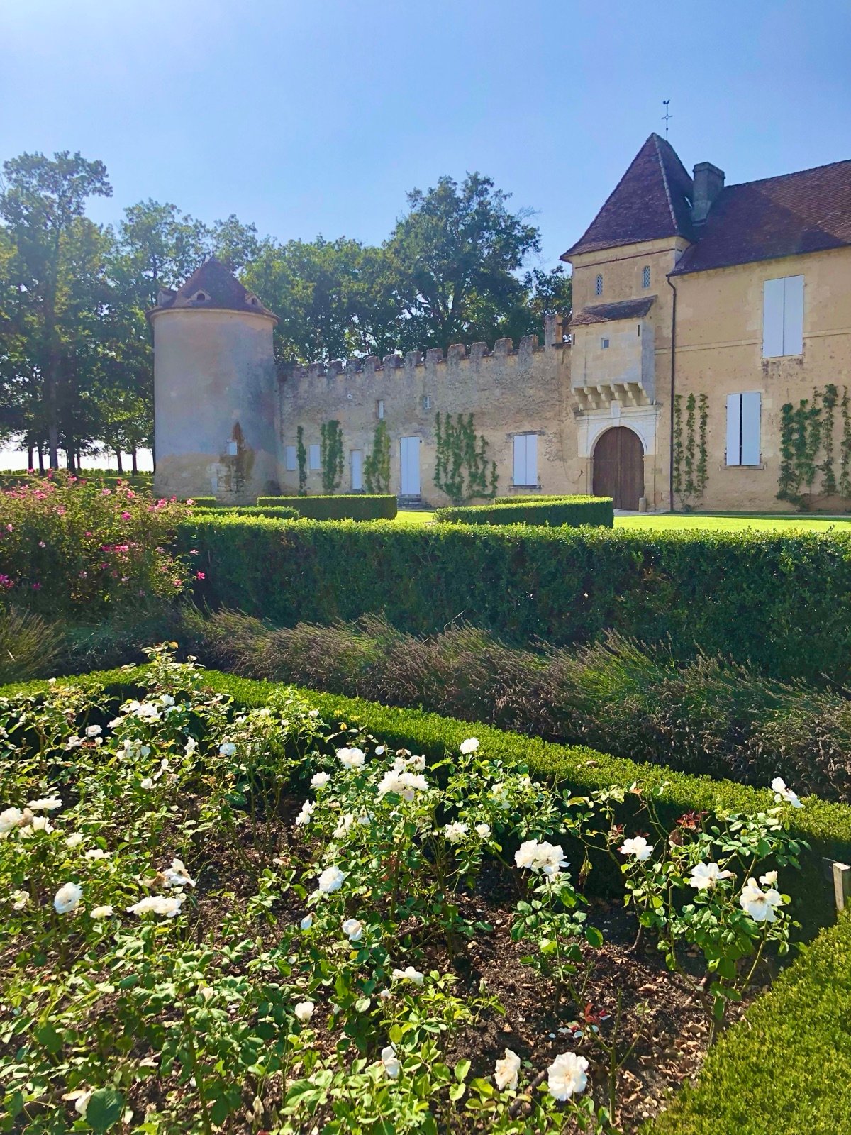 A Sauternes château behind its rose garden