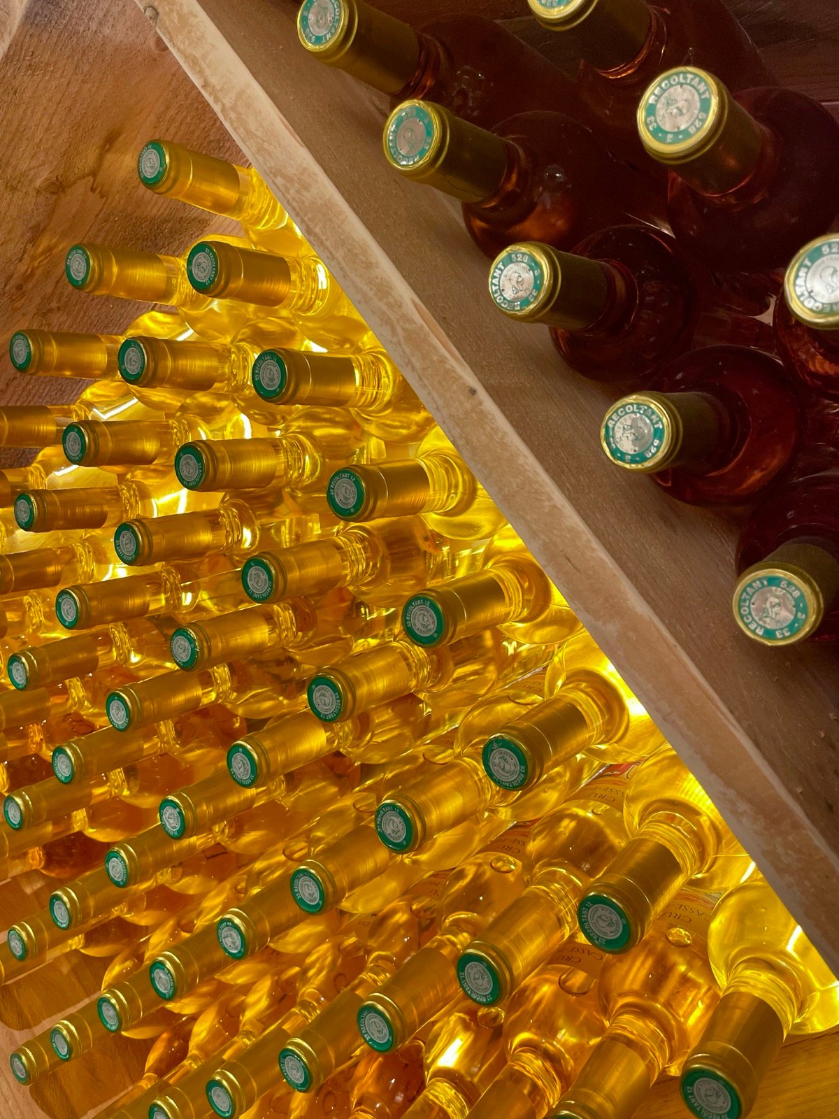 Rows of golden bottles lying in a wooden case