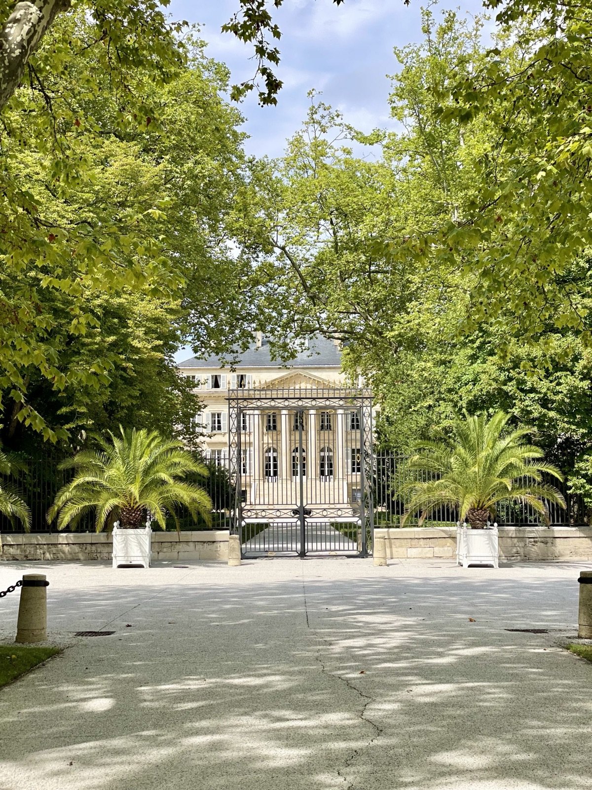A tree-lined path leading to a Médoc château